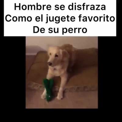 Sin t&iacute;tulo