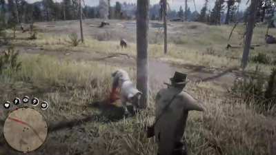 Arthur Morgan 360 noscopes a wolf with his Semi Auto Shotgun
