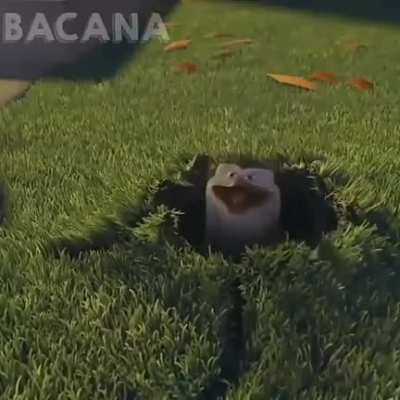 titulo foi pegar o relat&oacute;rio.