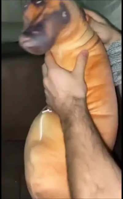 Blursed Doggo