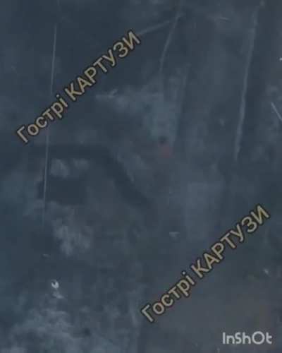 Dropped munition from a drone from the "Peaky Blinders" unit of the UAF was intercepted by a rifle round.