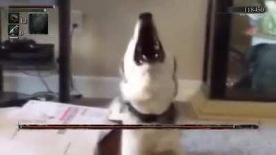He needs an excorcism