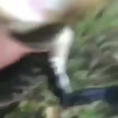 This is how humans usually deal with aggressive aliens
