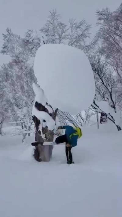 Fuck skiers