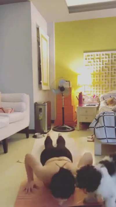 Carla Abellana