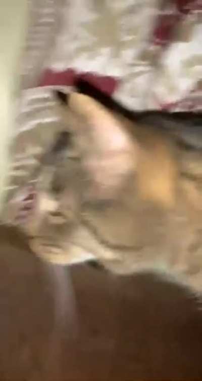 You good?