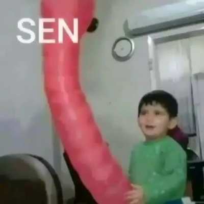 hoydaaaa