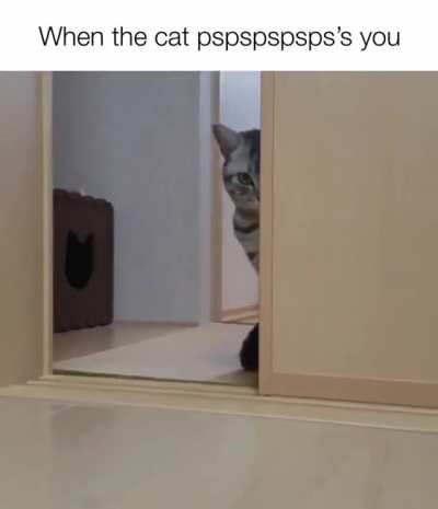 No good can come of this.