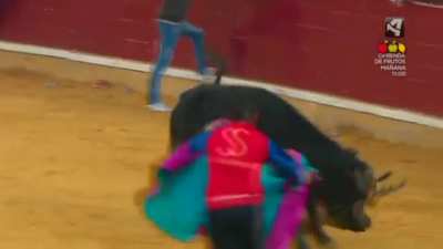 A guy gets stripped by big bull.