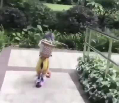 Ele apenas n&atilde;o conseguiu