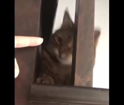 That face when you realise you're stuck.