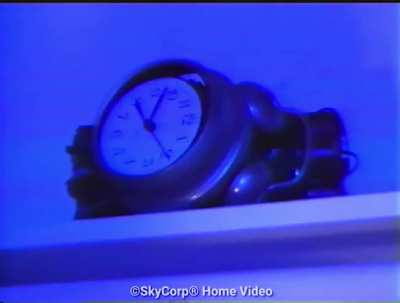 Premarital Sex