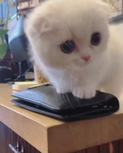 Would you like something?