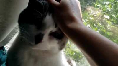 "Did I say you could stop?" (gentle chirps at 10 and 25 seconds)