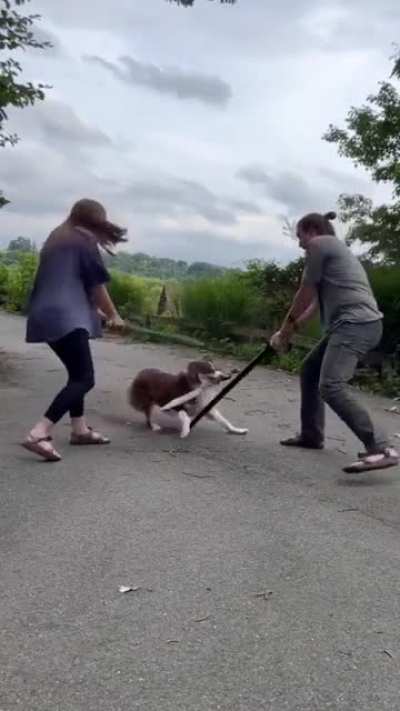 fUrIouS dOg fUcKin sLauGhTerS hiS oWneRs
