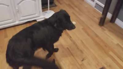 "What is going on in this house???"