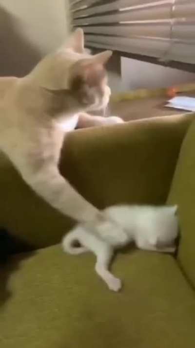 Just relax my baby