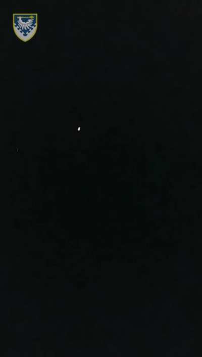 The Air Force showed how a "Gepard" shot down a kamikaze drone "Shahed" during a massive night attack in Odesa.