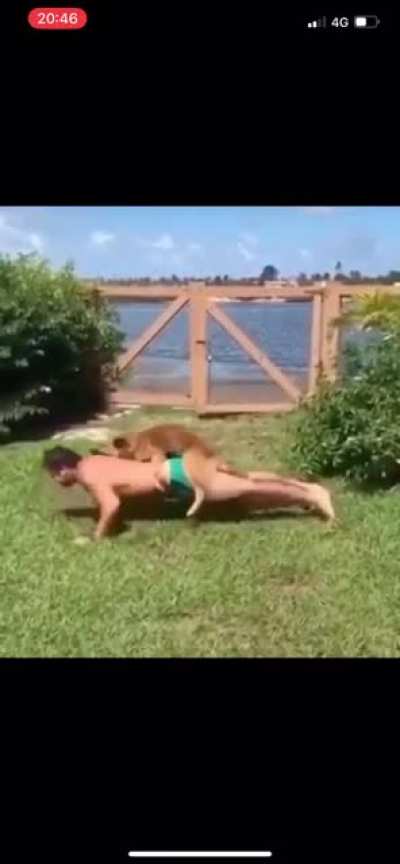 Poor doggo
