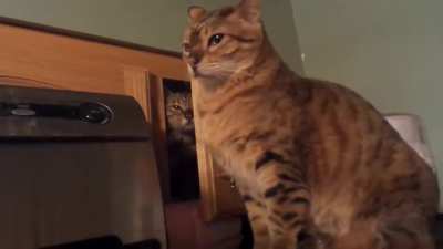 Lucifur is a bully
