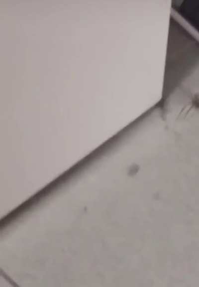 Eeeuw, spiders