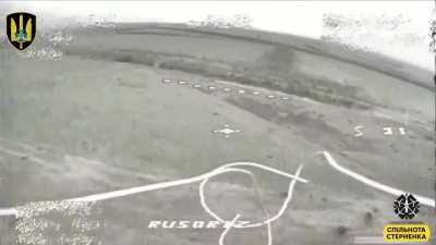 Footage released by the Security Service of Ukraine is showing their FPV pilots hunting for Chinese DesertCross 1000-3 buggies and Russian loaf vans.