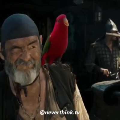 Güzel video yapmışlar