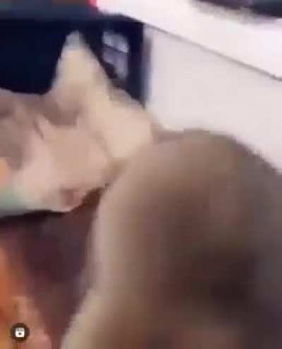 Nes dance for Danzaburou?