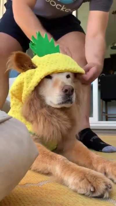 Pineapple Puppa