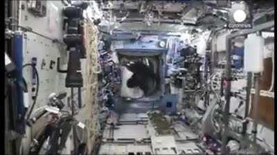Astronaut Mark Kelly once smuggled a full gorilla suit on board the International Space Station. He didn't tell anyone about it. One day, without anyone knowing, he put it on.