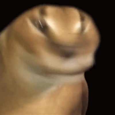phlobperMax