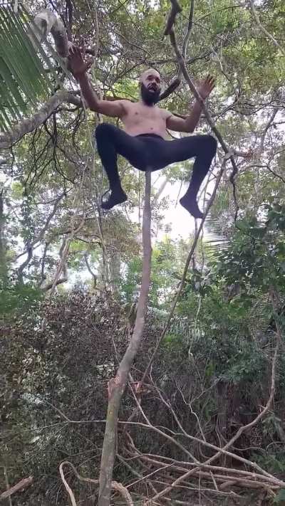 Inesperado treino