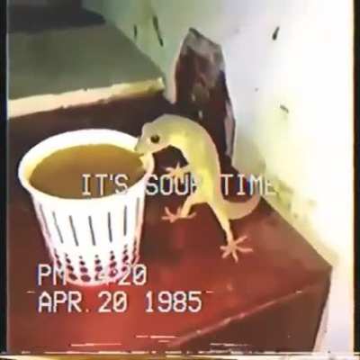 SOUP Time