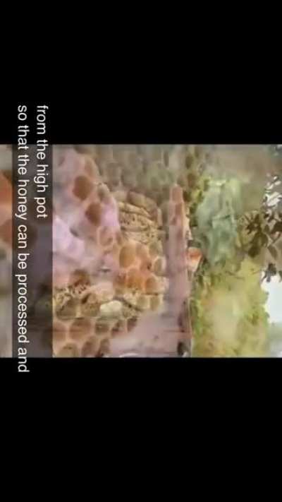 Very nice scream
