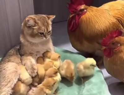 i is mom now?