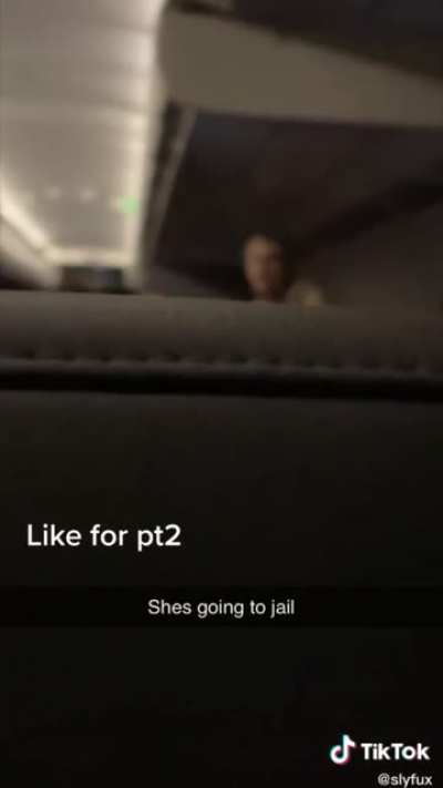 Another lady is added to the prestigious &ldquo;No-Fly List&rdquo;