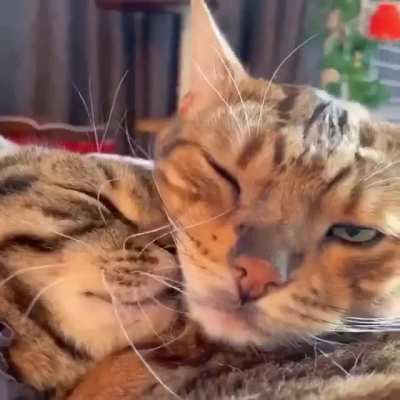 Mine, only mine