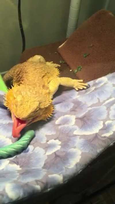 MONCH &amp;gt;:V