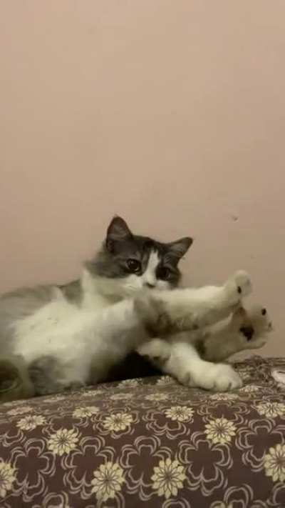 Yoga stretches turns to sleeping cuddle ball