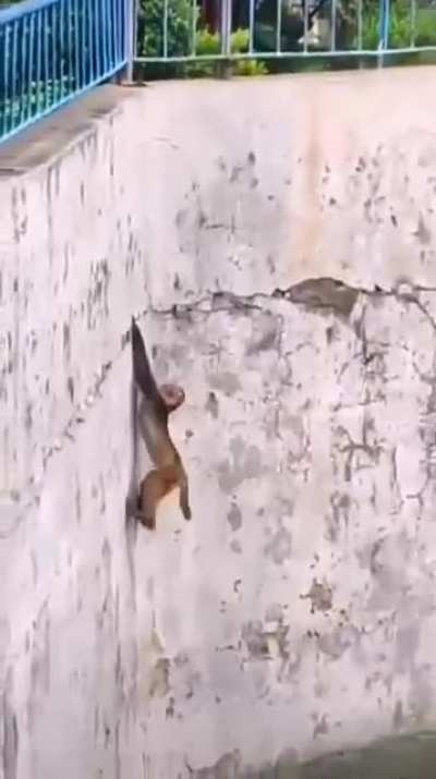 YO CRUZANDO EL RIO BRAVO 😎😎💪💪