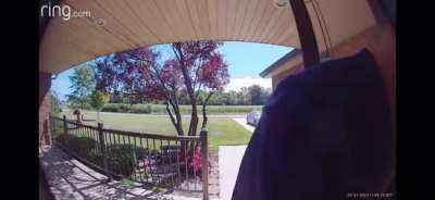 Dumbass tries to break &amp;amp; enter ex's family home. Promptly gets blasted with shotgun blasts by her father