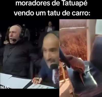 Tatuap&eacute;