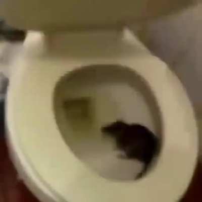 Oh no