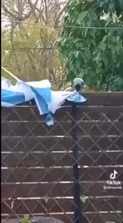 By Allah, the crows have chosen a side