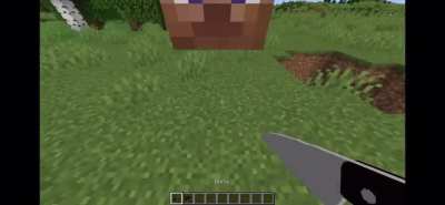What&rsquo;s inside a Steve skull?