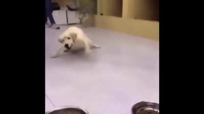 Real footage