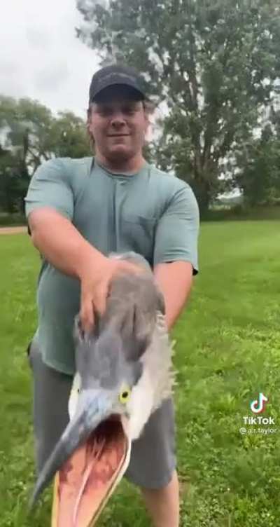 AAA&mdash;