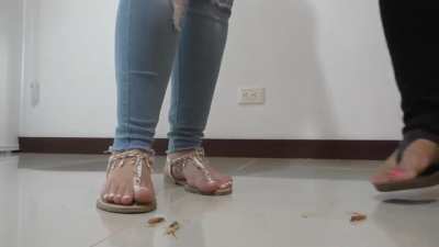 Girls crush worms