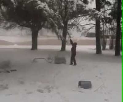 Imagine annoying a tree so much it bitchslaps you like a pimp.