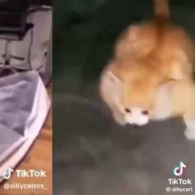 wow